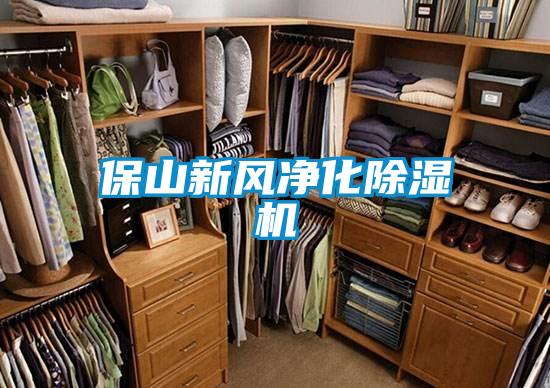 保山新風(fēng)凈化除濕機(jī)
