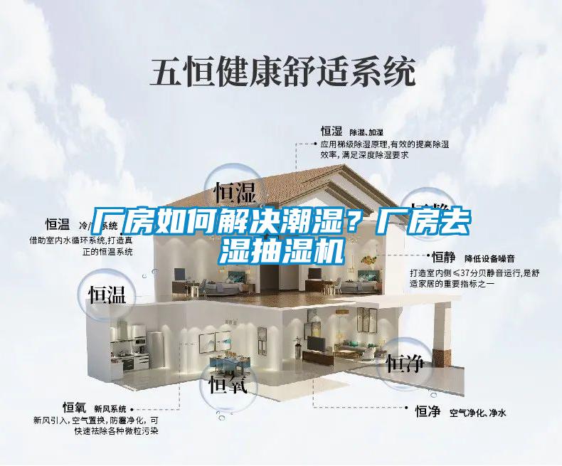 廠房如何解決潮濕？廠房去濕抽濕機(jī)