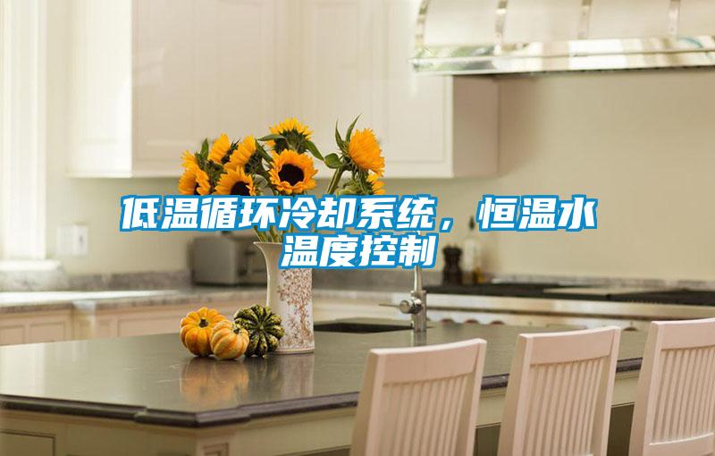 低溫循環冷卻系統，恒溫水溫度控制