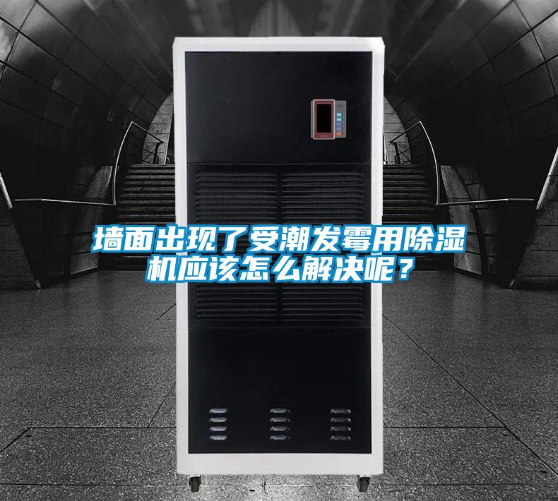 墻面出現了受潮發霉用除濕機應該怎么解決呢？