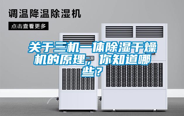 關于三機一體除濕干燥機的原理，你知道哪些？
