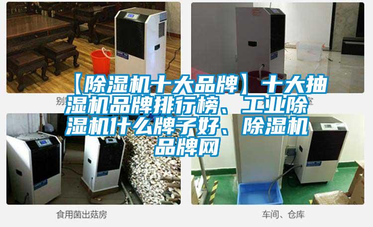 【除濕機(jī)十大品牌】十大抽濕機(jī)品牌排行榜、工業(yè)除濕機(jī)什么牌子好、除濕機(jī)品牌網(wǎng)