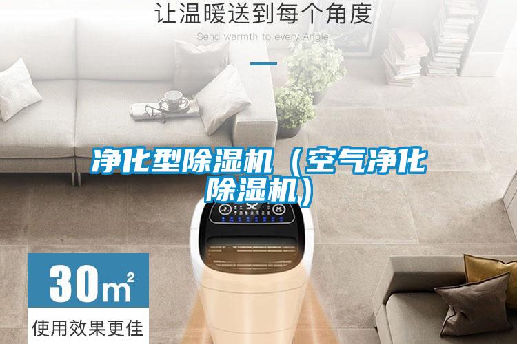 凈化型除濕機(jī)(空氣凈化除濕機(jī))