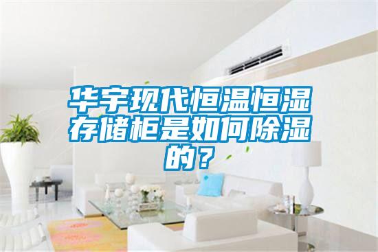 華宇現代恒溫恒濕存儲柜是如何除濕的？