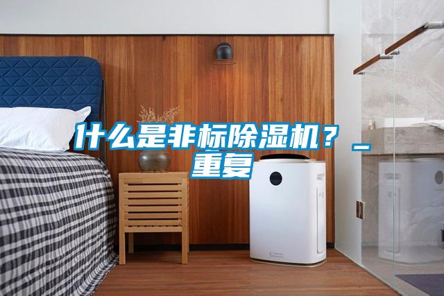 什么是非標除濕機？_重復