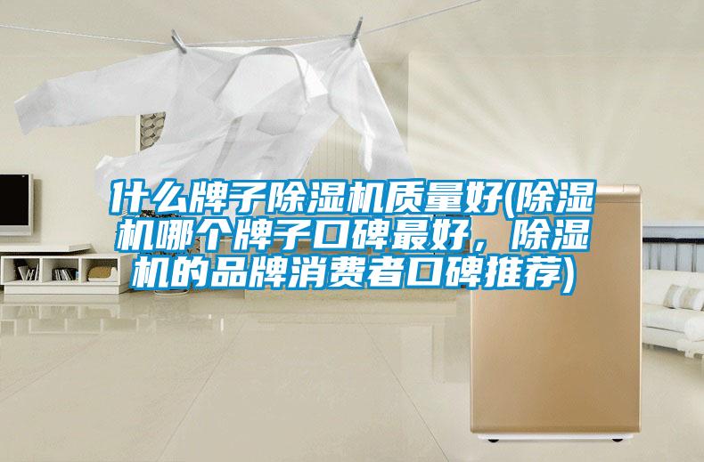 什么牌子除濕機(jī)質(zhì)量好(除濕機(jī)哪個牌子口碑最好,除濕機(jī)的品牌消費(fèi)者口碑推薦)