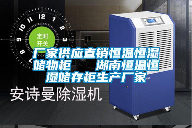 廠家供應(yīng)直銷恒溫恒濕儲(chǔ)物柜 湖南恒溫恒濕儲(chǔ)存柜生產(chǎn)廠家