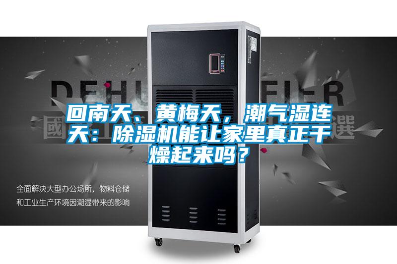 回南天、黃梅天,潮氣濕連天:除濕機能讓家里真正干燥起來嗎?