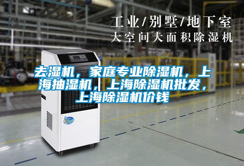 去濕機，家庭專業除濕機，上海抽濕機，上海除濕機批發，上海除濕機價錢