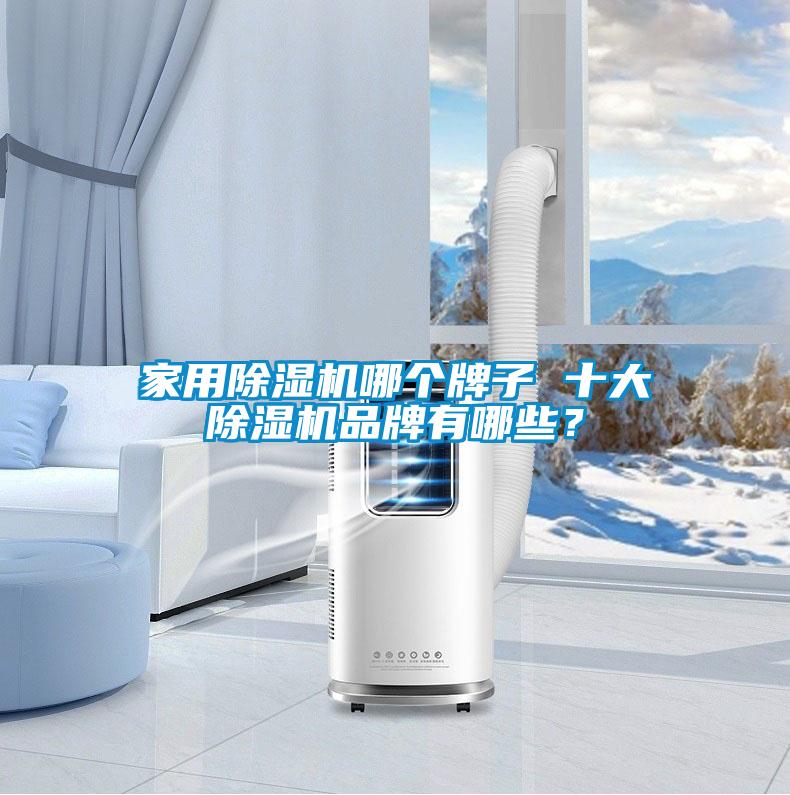 家用除濕機哪個牌子 十大除濕機品牌有哪些?