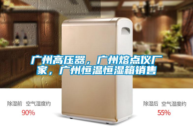 廣州高壓器，廣州熔點儀廠家，廣州恒溫恒濕箱銷售