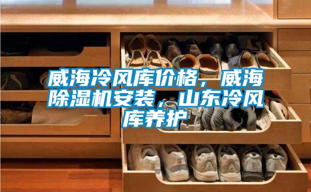 威海冷風(fēng)庫(kù)價(jià)格,威海除濕機(jī)安裝,山東冷風(fēng)庫(kù)養(yǎng)護(hù)