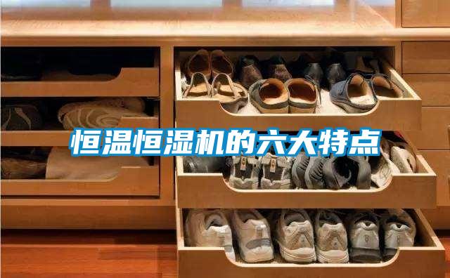 恒溫恒濕機(jī)的六大特點(diǎn)
