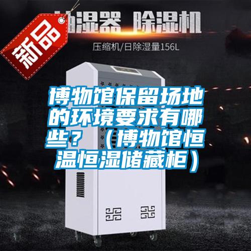 博物館保留場地的環境要求有哪些？（博物館恒溫恒濕儲藏柜）