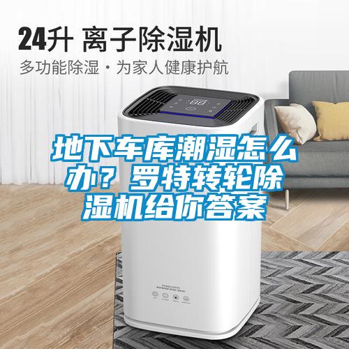 地下車庫潮濕怎么辦？羅特轉輪除濕機給你答案