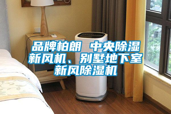 品牌柏朗 中央除濕新風(fēng)機、別墅地下室新風(fēng)除濕機