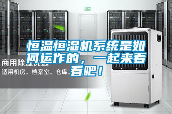 恒溫恒濕機(jī)系統(tǒng)是如何運(yùn)作的,一起來(lái)看看吧!