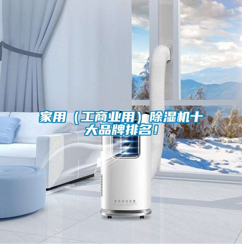 家用(工商業(yè)用)除濕機十大品牌排名!
