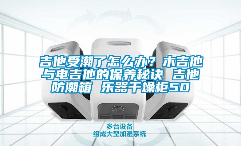 吉他受潮了怎么辦?木吉他與電吉他的保養秘訣 吉他防潮箱 樂器干燥柜50