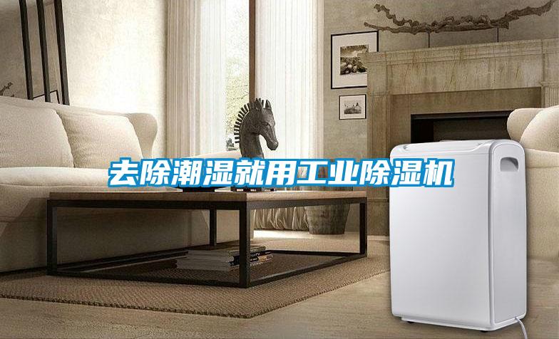 去除潮濕就用工業除濕機