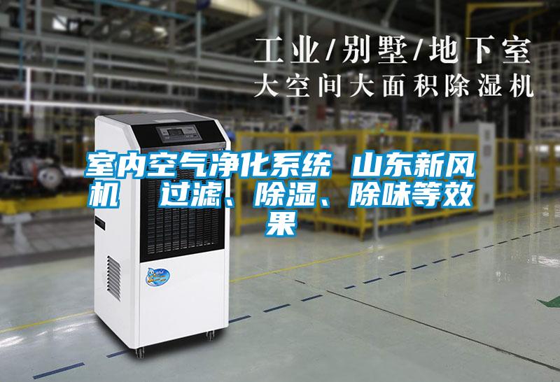 室內(nèi)空氣凈化系統(tǒng) 山東新風(fēng)機 過濾、除濕、除味等效果