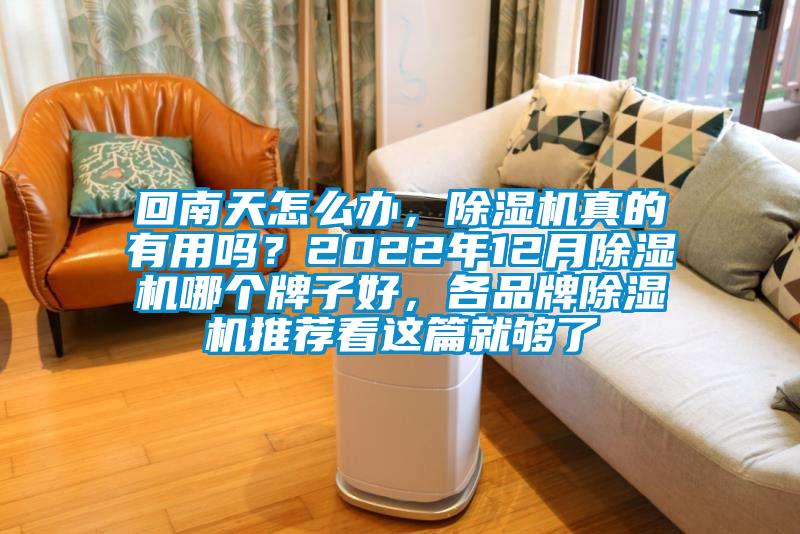 回南天怎么辦,除濕機真的有用嗎?2022年12月除濕機哪個牌子好,各品牌除濕機推薦看這篇就夠了