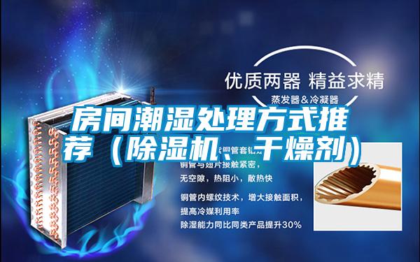 房間潮濕處理方式推薦（除濕機、干燥劑）