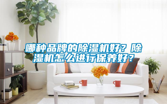 哪種品牌的除濕機好?除濕機怎么進(jìn)行保養(yǎng)好?
