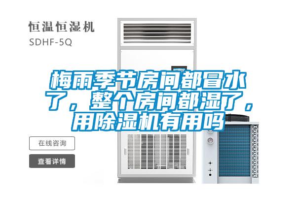 梅雨季節(jié)房間都冒水了,整個(gè)房間都濕了,用除濕機(jī)有用嗎