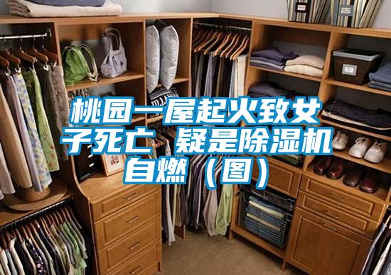 桃園一屋起火致女子死亡 疑是除濕機(jī)自燃(圖)