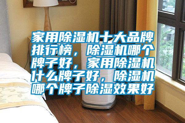 家用除濕機十大品牌排行榜，除濕機哪個牌子好，家用除濕機什么牌子好，除濕機哪個牌子除濕效果好