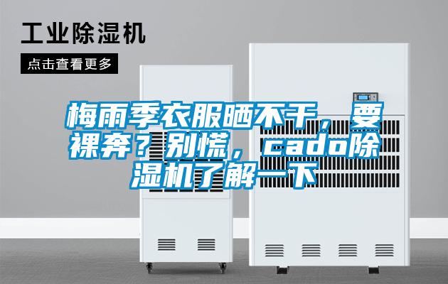 梅雨季衣服曬不干,要裸奔?別慌,cado除濕機(jī)了解一下