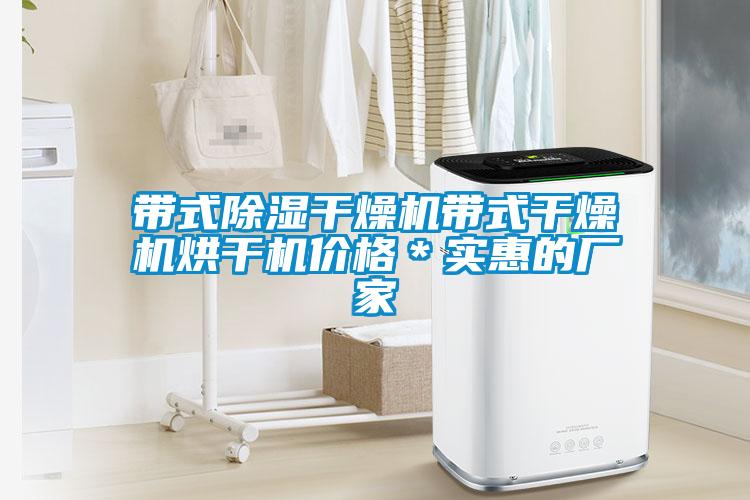 帶式除濕干燥機帶式干燥機烘干機價格*實惠的廠家
