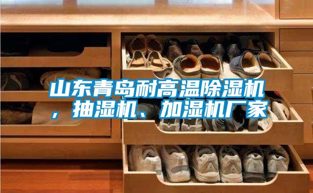 山東青島耐高溫除濕機(jī)，抽濕機(jī)、加濕機(jī)廠家