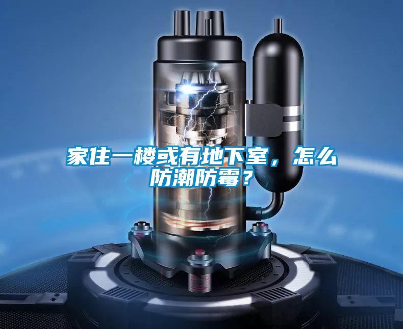 家住一樓或有地下室,怎么防潮防霉?
