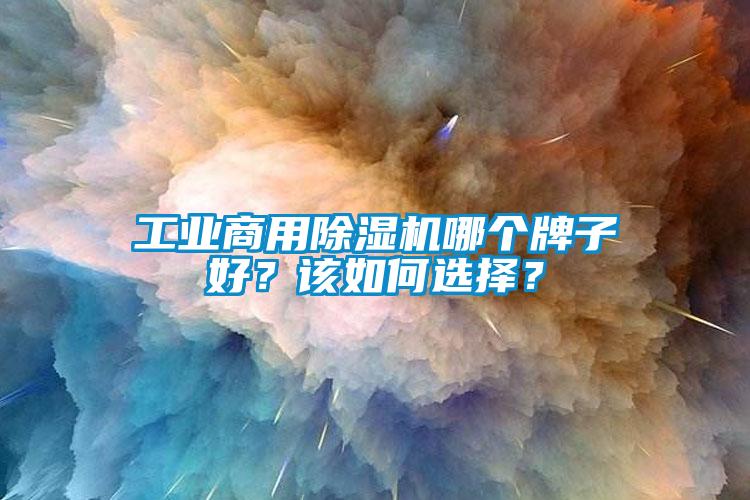 工業(yè)商用除濕機(jī)哪個(gè)牌子好?該如何選擇?