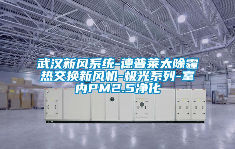 武漢新風系統-德普萊太除霾熱交換新風機-極光系列-室內PM2.5凈化