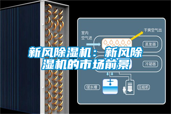 新風(fēng)除濕機(jī):新風(fēng)除濕機(jī)的市場(chǎng)前景