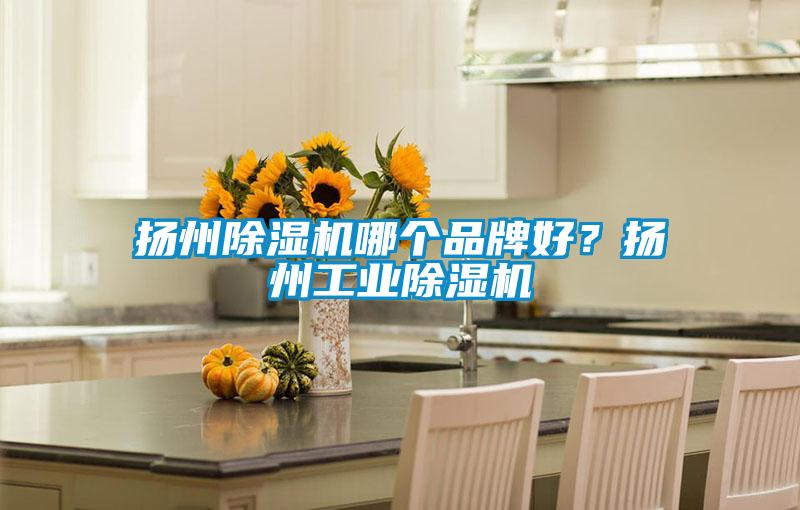 揚州除濕機哪個品牌好？揚州工業除濕機