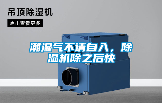 潮濕氣不請自入，除濕機(jī)除之后快