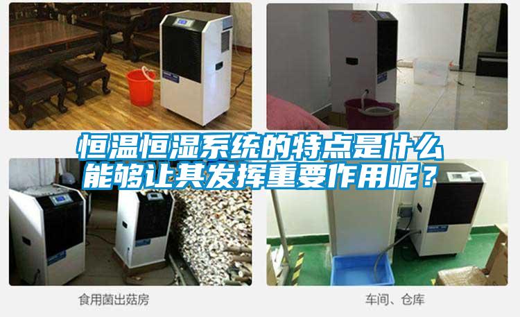 恒溫恒濕系統的特點是什么能夠讓其發揮重要作用呢?