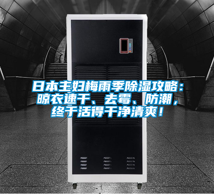 日本主婦梅雨季除濕攻略：晾衣速干、去霉、防潮，終于活得干凈清爽！