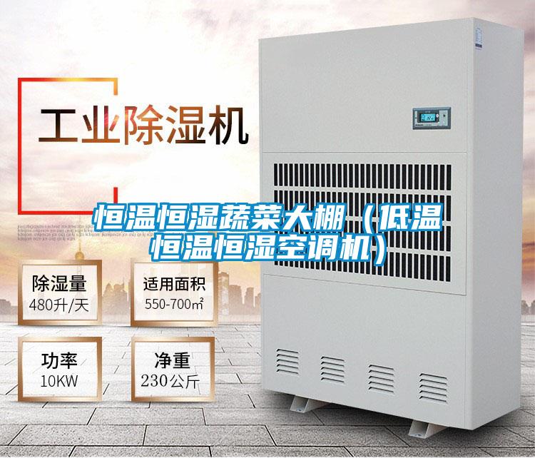 恒溫恒濕蔬菜大棚(低溫恒溫恒濕空調(diào)機)