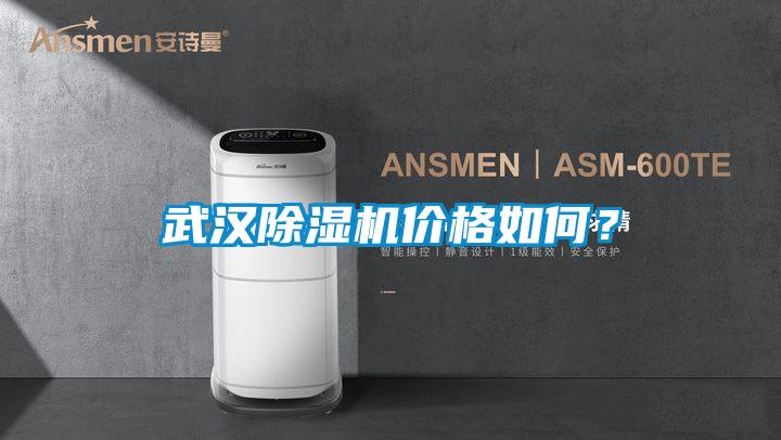 武漢除濕機價格如何?