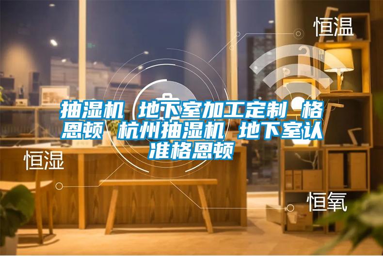 抽濕機(jī) 地下室加工定制 格恩頓 杭州抽濕機(jī) 地下室認(rèn)準(zhǔn)格恩頓