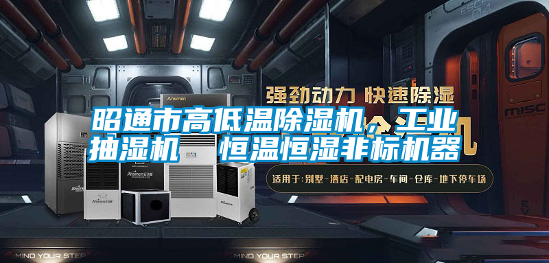 昭通市高低溫除濕機,工業抽濕機 恒溫恒濕非標機器