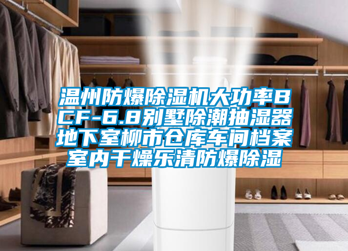 溫州防爆除濕機(jī)大功率BCF-6.8別墅除潮抽濕器地下室柳市倉(cāng)庫(kù)車間檔案室內(nèi)干燥樂(lè)清防爆除濕