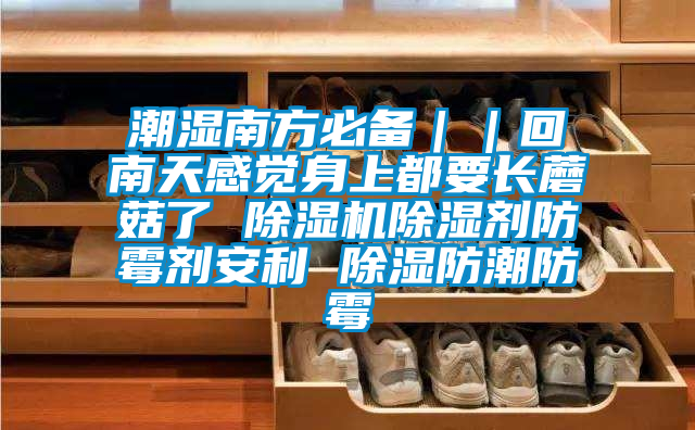潮濕南方必備||回南天感覺(jué)身上都要長(zhǎng)蘑菇了 除濕機(jī)除濕劑防霉劑安利 除濕防潮防霉