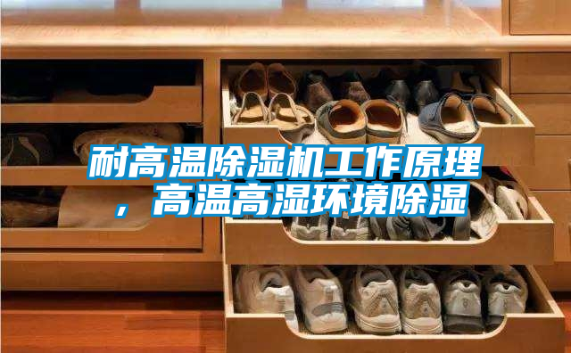 耐高溫除濕機工作原理,高溫高濕環境除濕
