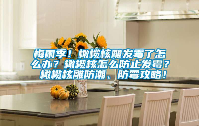 梅雨季！橄欖核雕發(fā)霉了怎么辦？橄欖核怎么防止發(fā)霉？ 橄欖核雕防潮、防霉攻略！